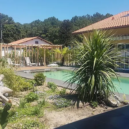 Cosy With Pool Near Ocean Villa